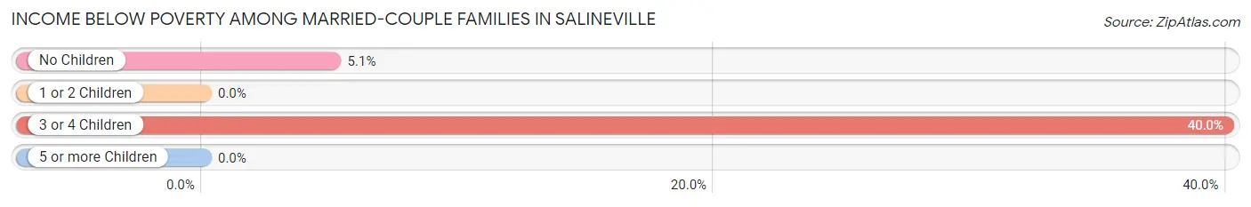 Income Below Poverty Among Married-Couple Families in Salineville