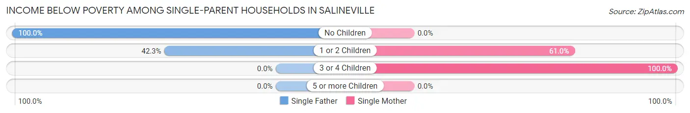 Income Below Poverty Among Single-Parent Households in Salineville