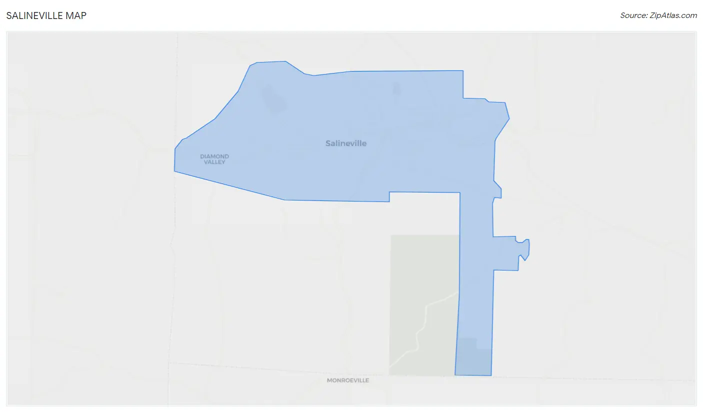 Salineville Map