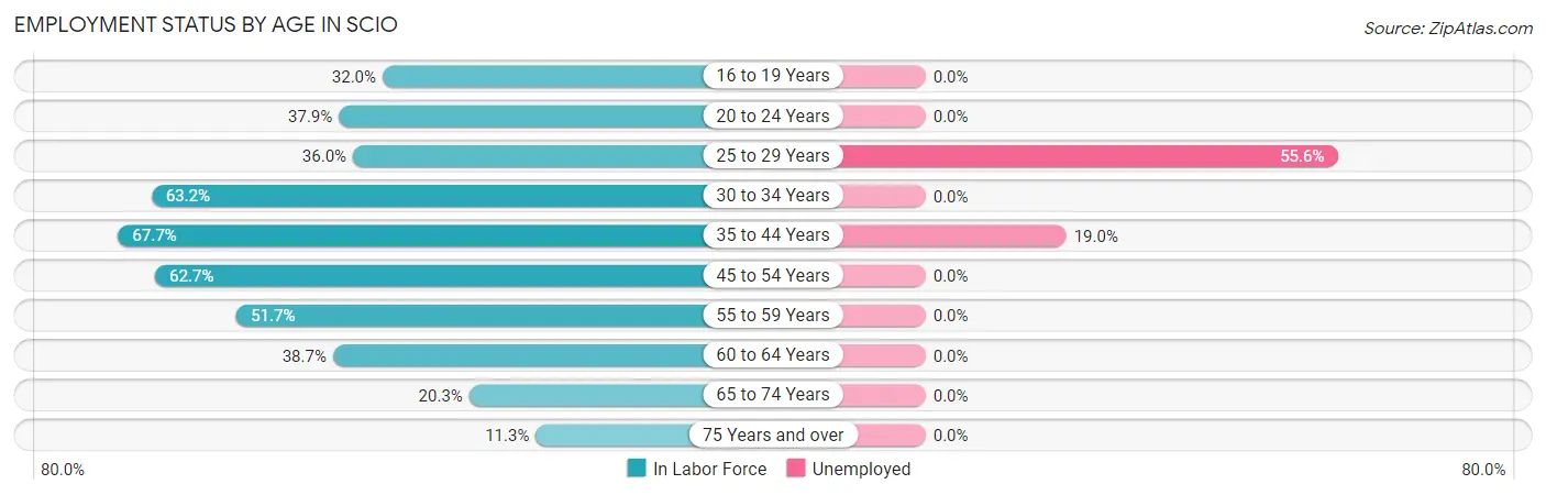 Employment Status by Age in Scio