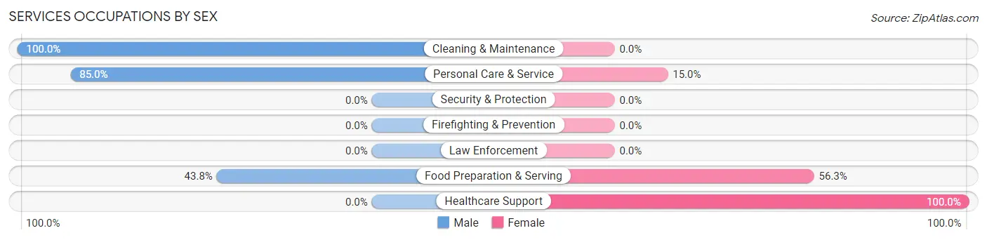 Services Occupations by Sex in Scio