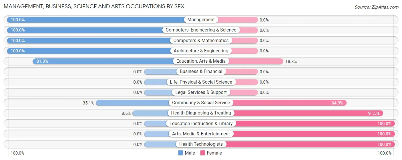 Management, Business, Science and Arts Occupations by Sex in Seaman