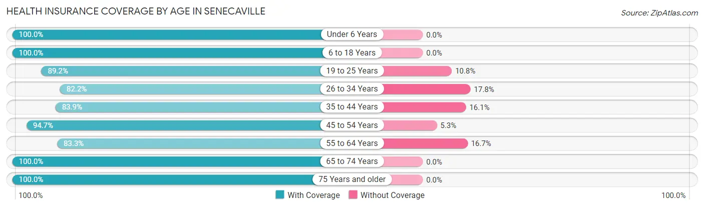 Health Insurance Coverage by Age in Senecaville