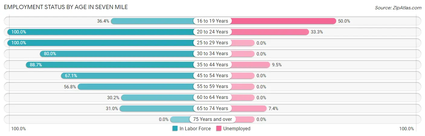 Employment Status by Age in Seven Mile