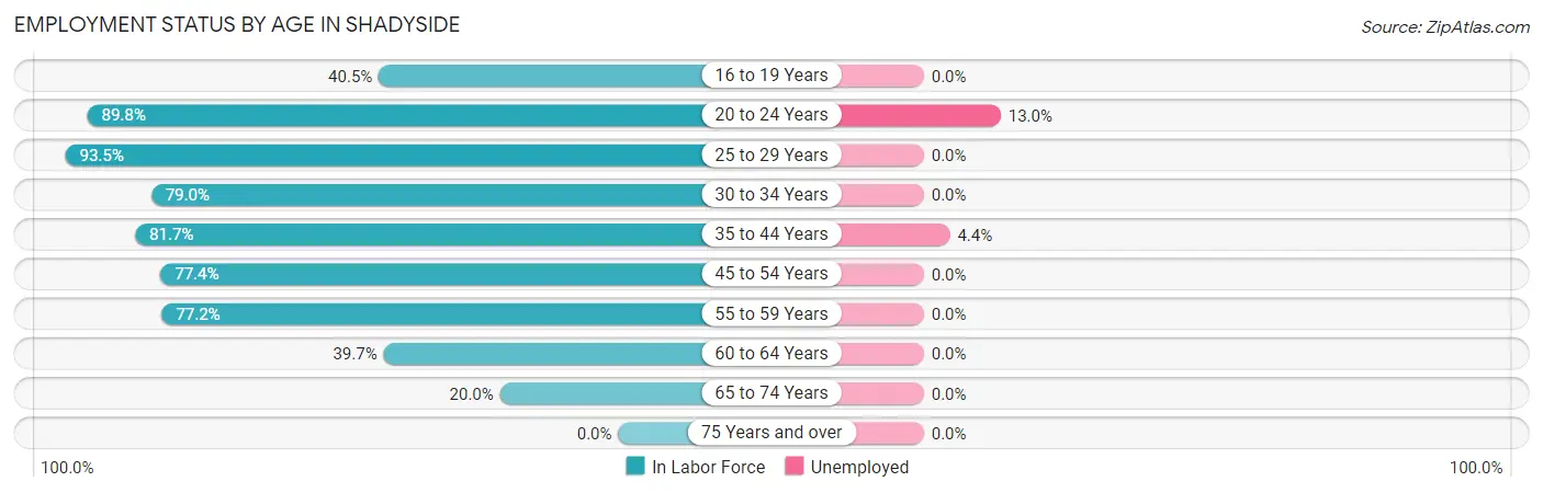 Employment Status by Age in Shadyside