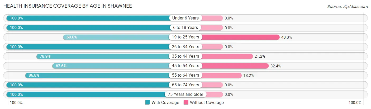 Health Insurance Coverage by Age in Shawnee