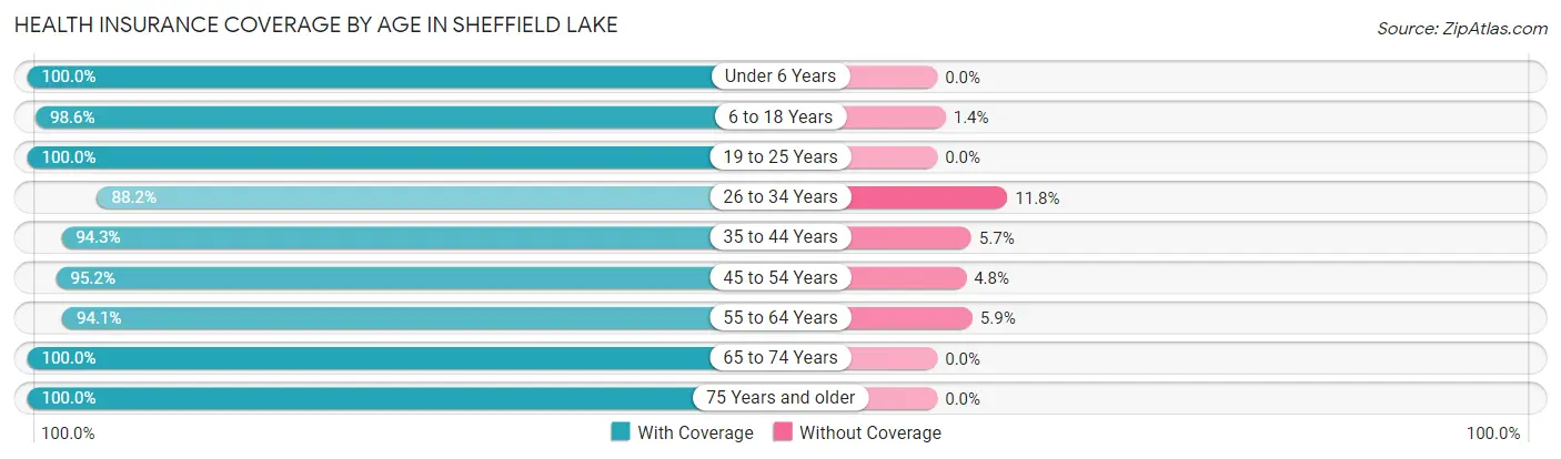 Health Insurance Coverage by Age in Sheffield Lake