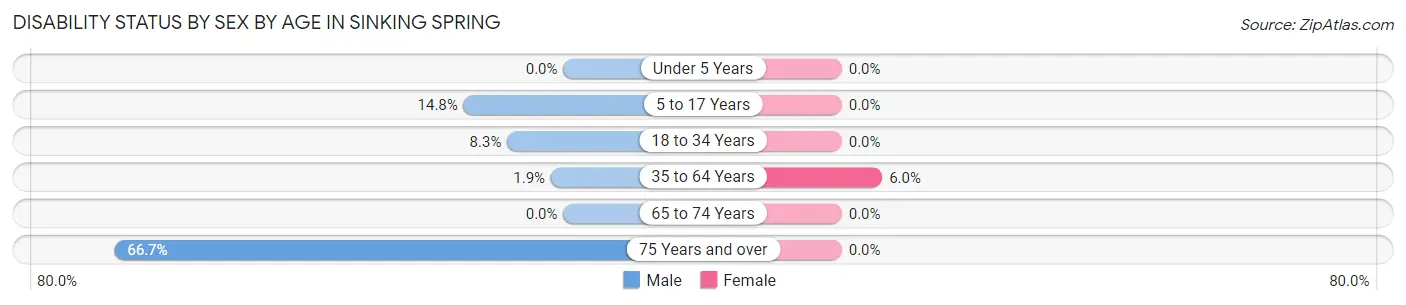 Disability Status by Sex by Age in Sinking Spring