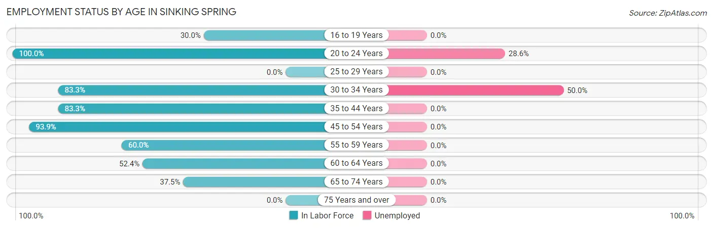Employment Status by Age in Sinking Spring