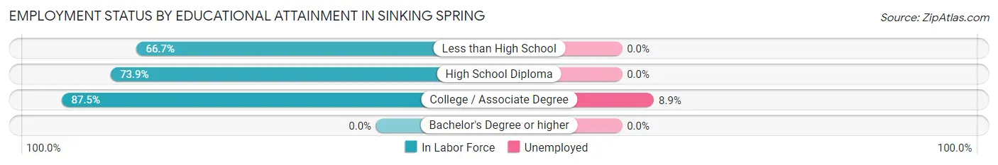 Employment Status by Educational Attainment in Sinking Spring