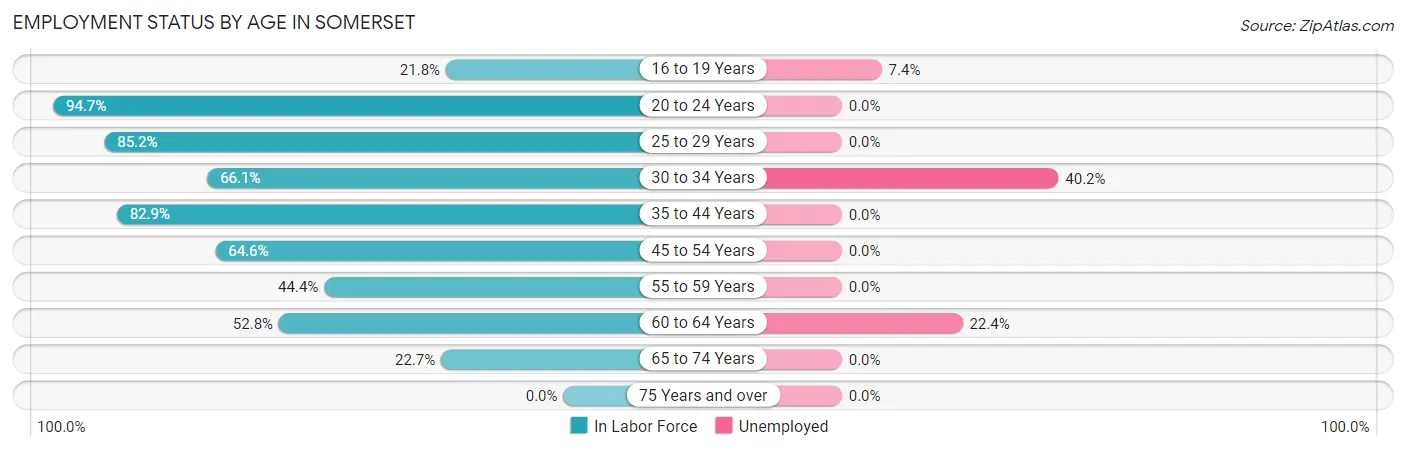 Employment Status by Age in Somerset