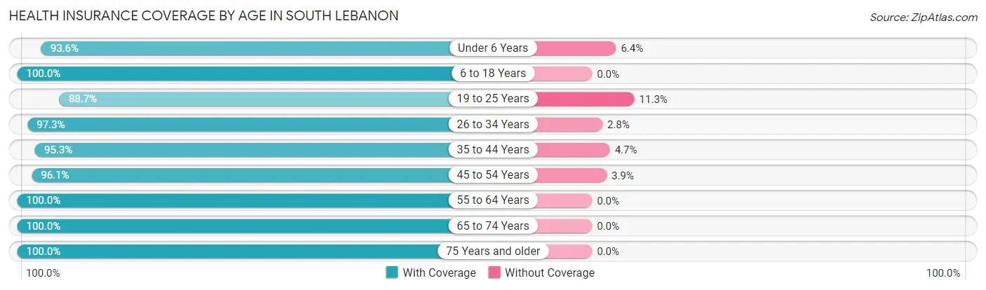 Health Insurance Coverage by Age in South Lebanon