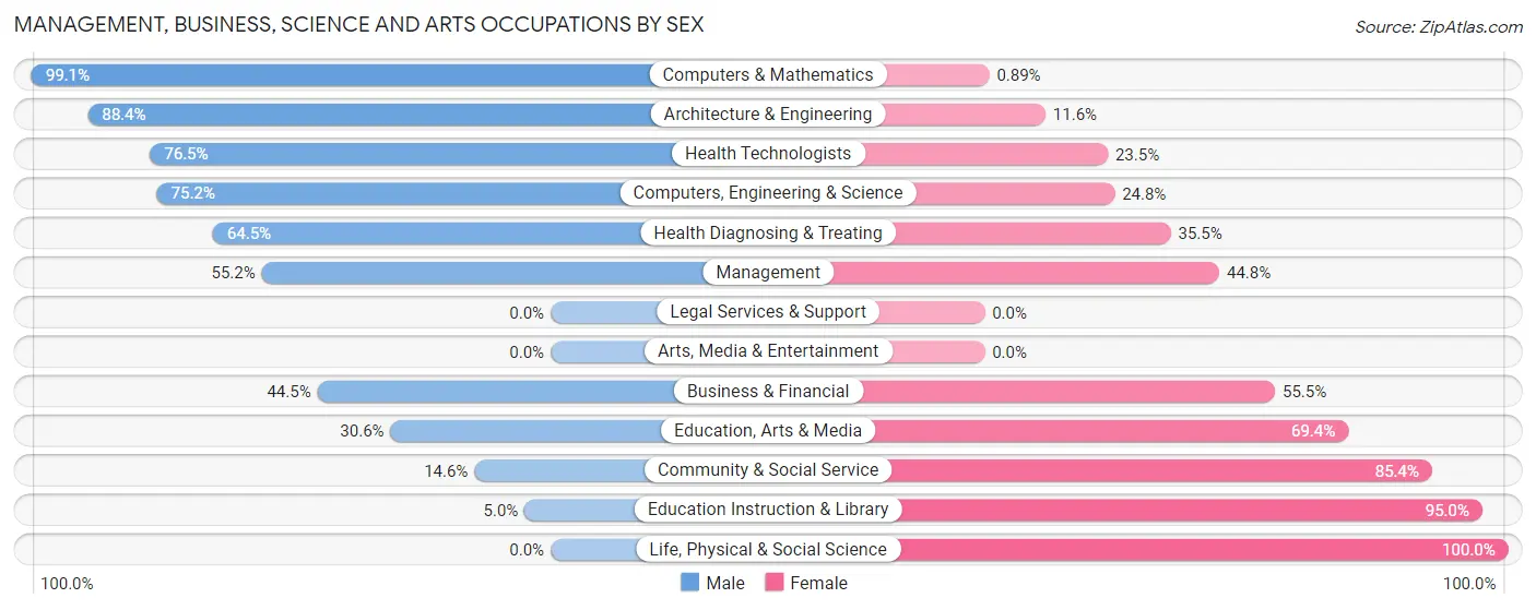 Management, Business, Science and Arts Occupations by Sex in South Lebanon