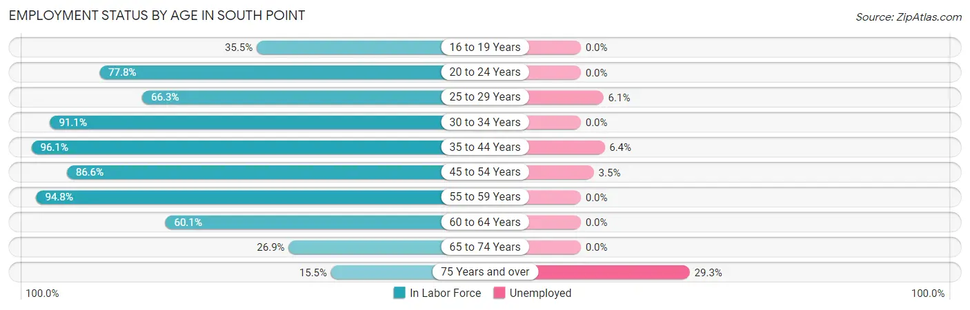 Employment Status by Age in South Point
