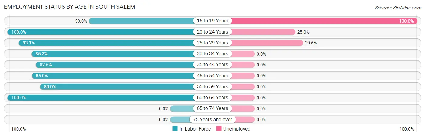 Employment Status by Age in South Salem