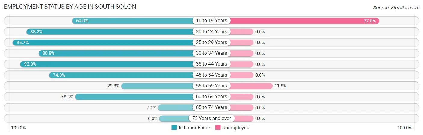 Employment Status by Age in South Solon