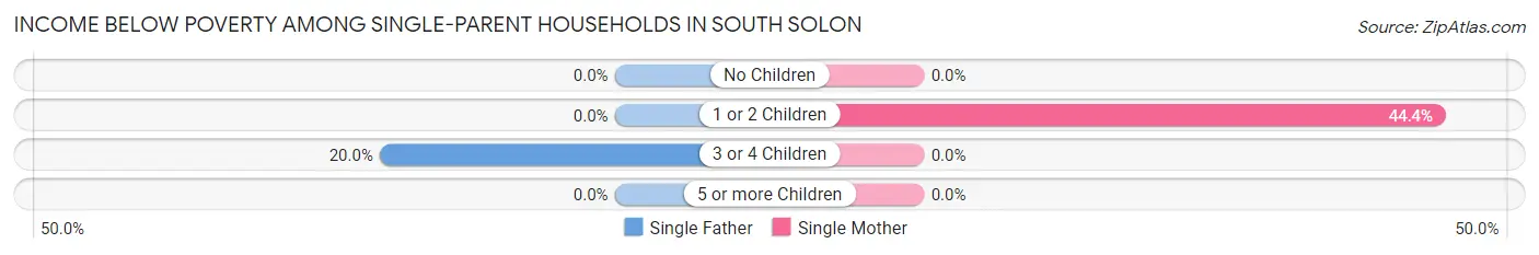 Income Below Poverty Among Single-Parent Households in South Solon