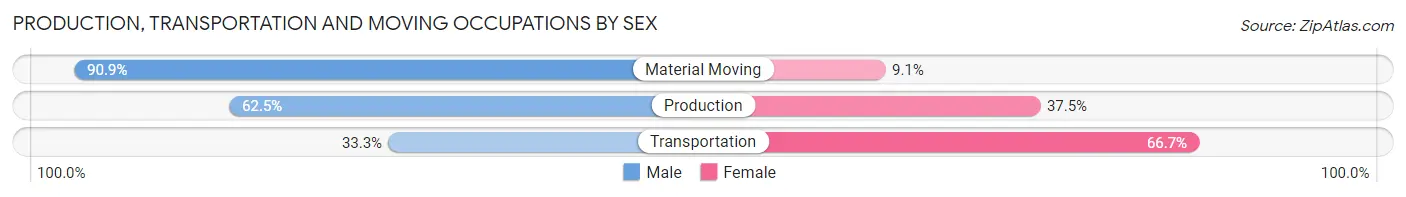 Production, Transportation and Moving Occupations by Sex in South Solon
