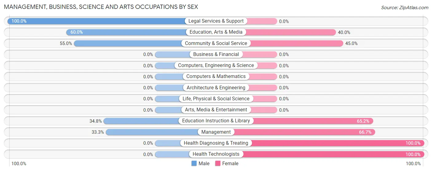 Management, Business, Science and Arts Occupations by Sex in South Webster