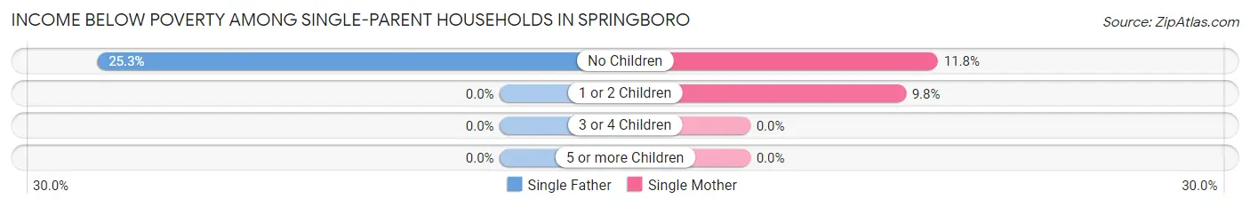 Income Below Poverty Among Single-Parent Households in Springboro