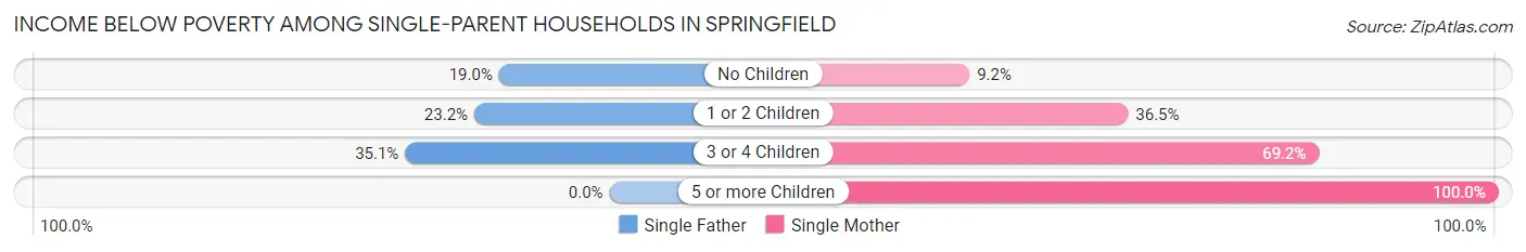 Income Below Poverty Among Single-Parent Households in Springfield