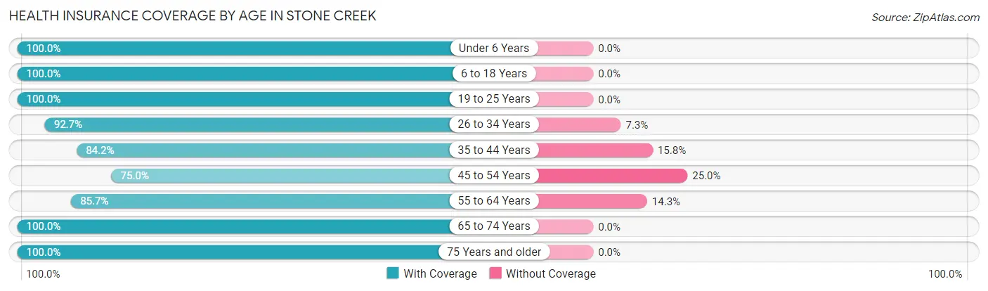 Health Insurance Coverage by Age in Stone Creek