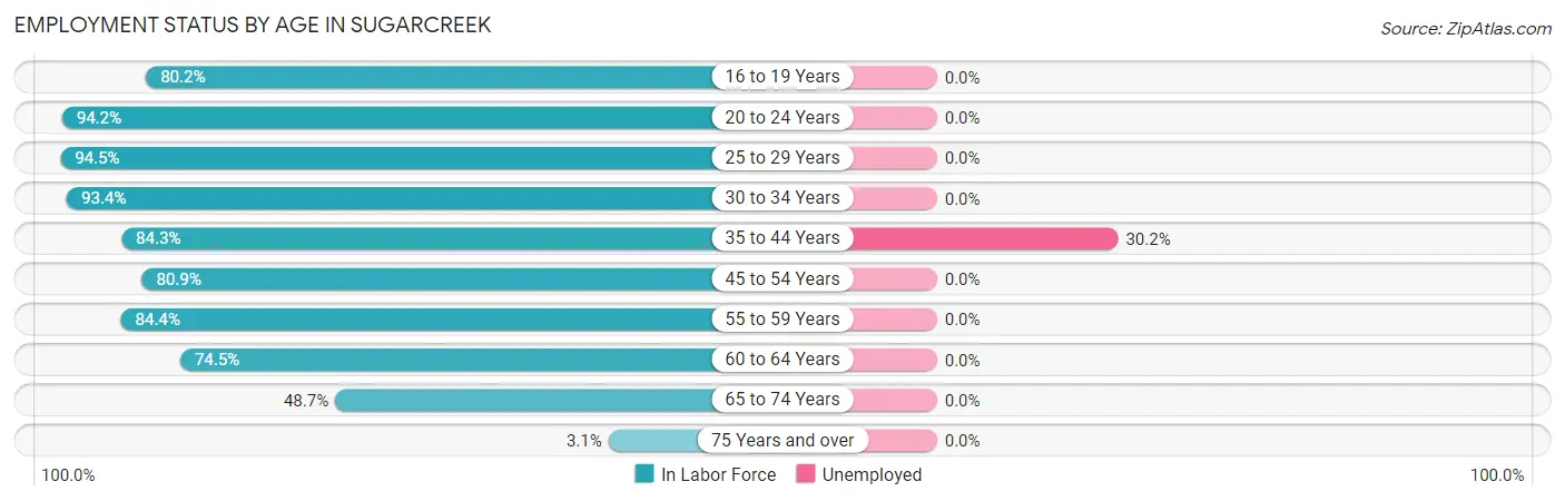 Employment Status by Age in Sugarcreek