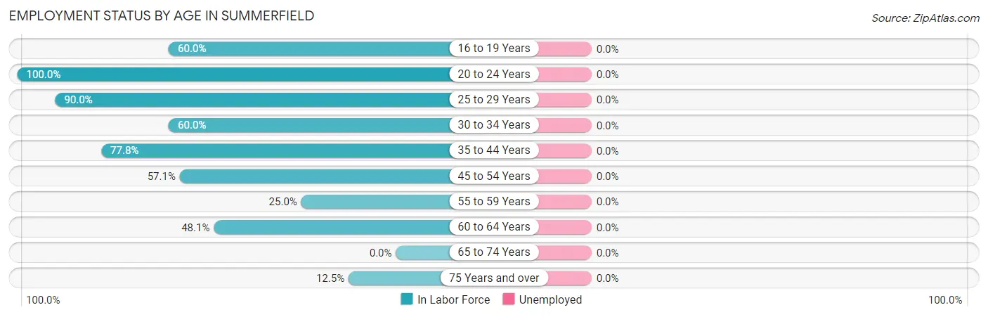 Employment Status by Age in Summerfield