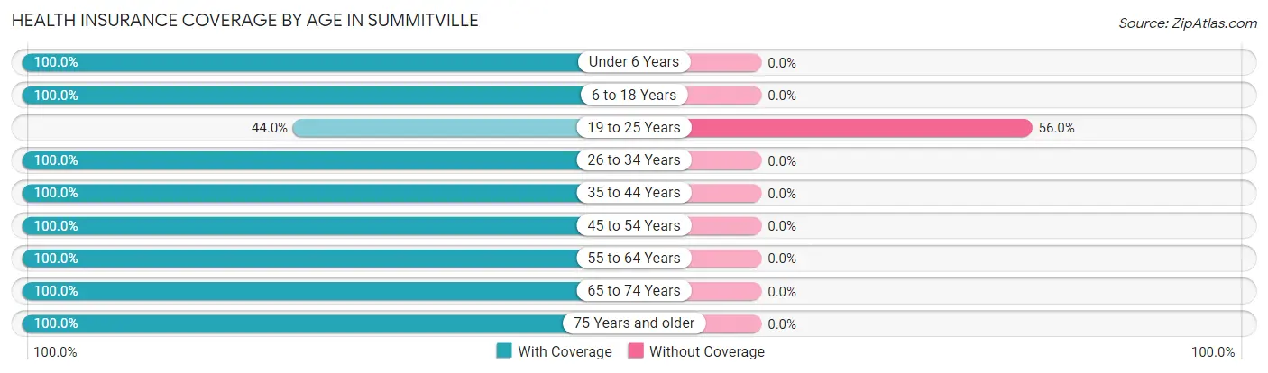 Health Insurance Coverage by Age in Summitville