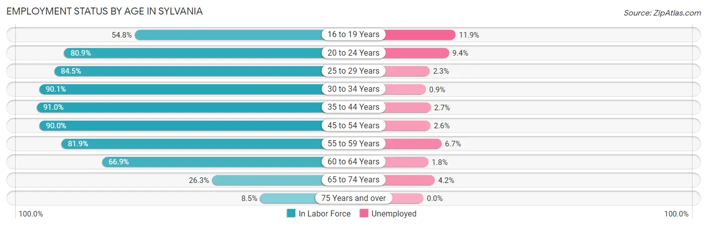 Employment Status by Age in Sylvania