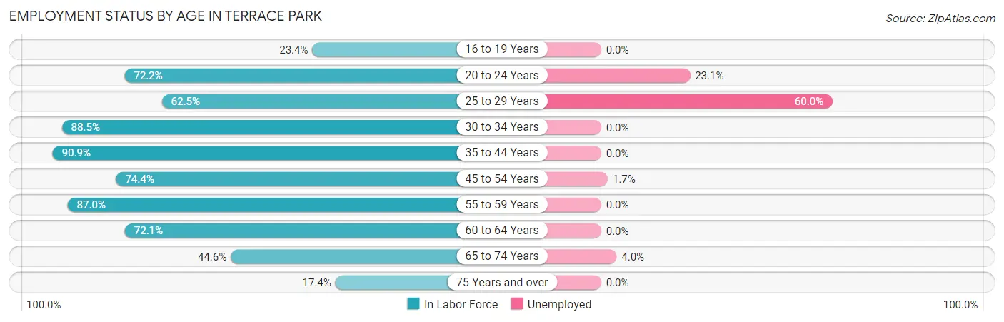Employment Status by Age in Terrace Park