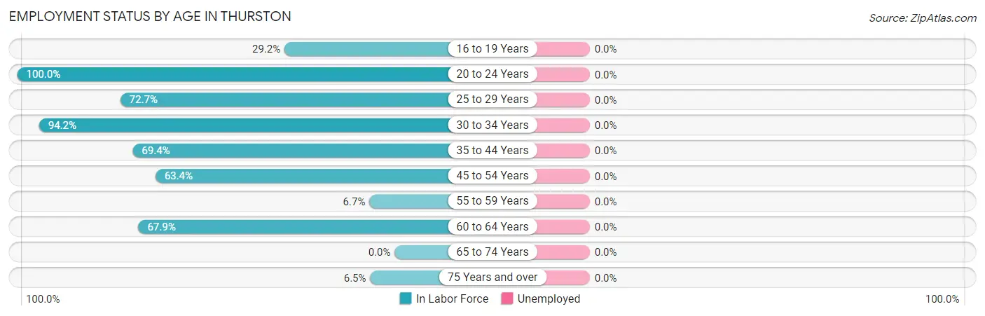 Employment Status by Age in Thurston