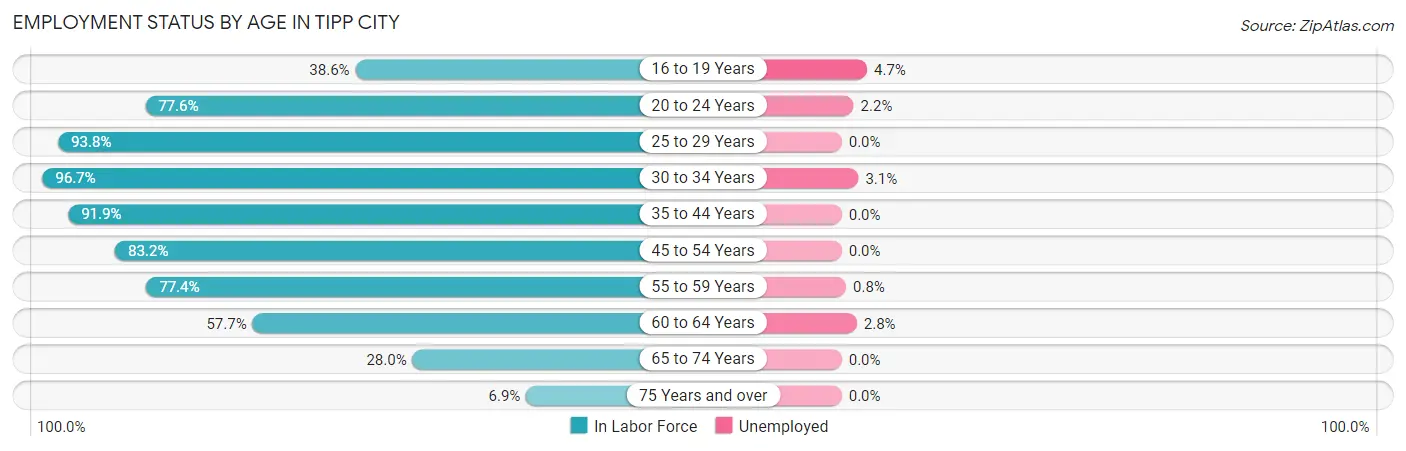 Employment Status by Age in Tipp City