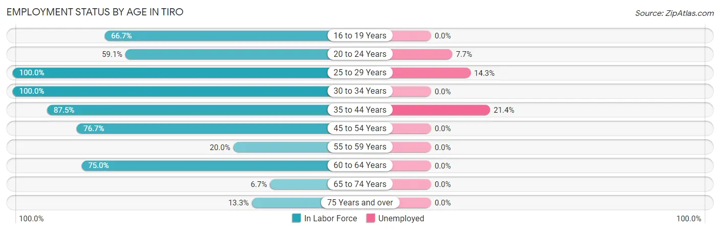Employment Status by Age in Tiro