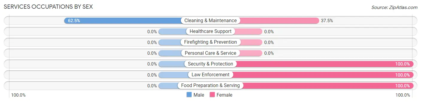 Services Occupations by Sex in Tiro
