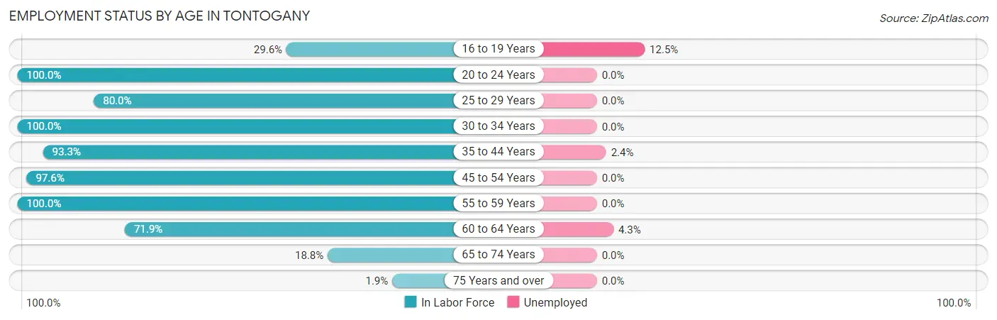 Employment Status by Age in Tontogany