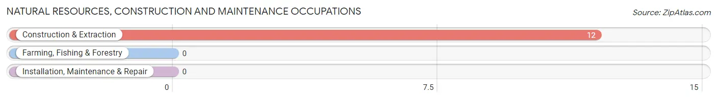 Natural Resources, Construction and Maintenance Occupations in Trinway