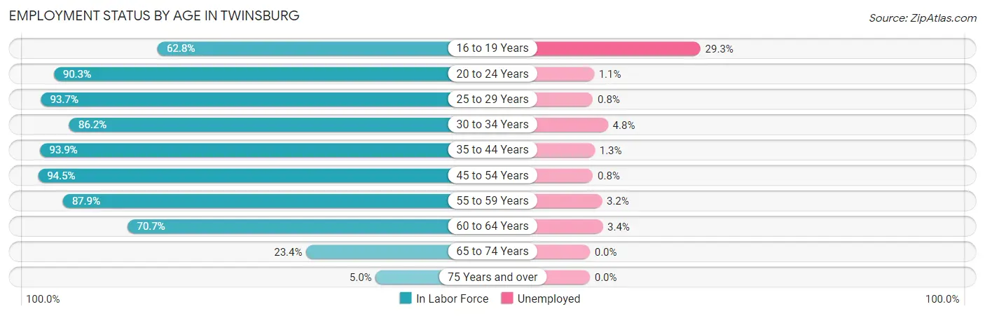 Employment Status by Age in Twinsburg