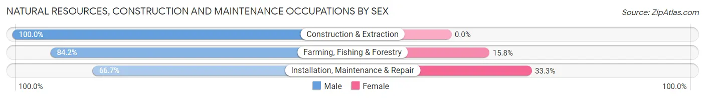 Natural Resources, Construction and Maintenance Occupations by Sex in Upper Sandusky