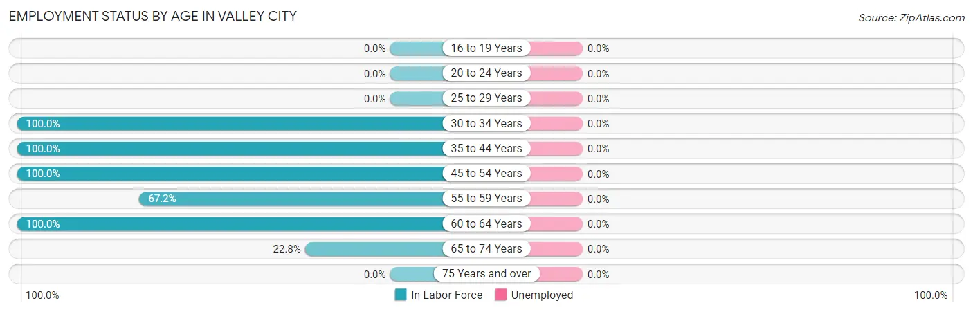 Employment Status by Age in Valley City