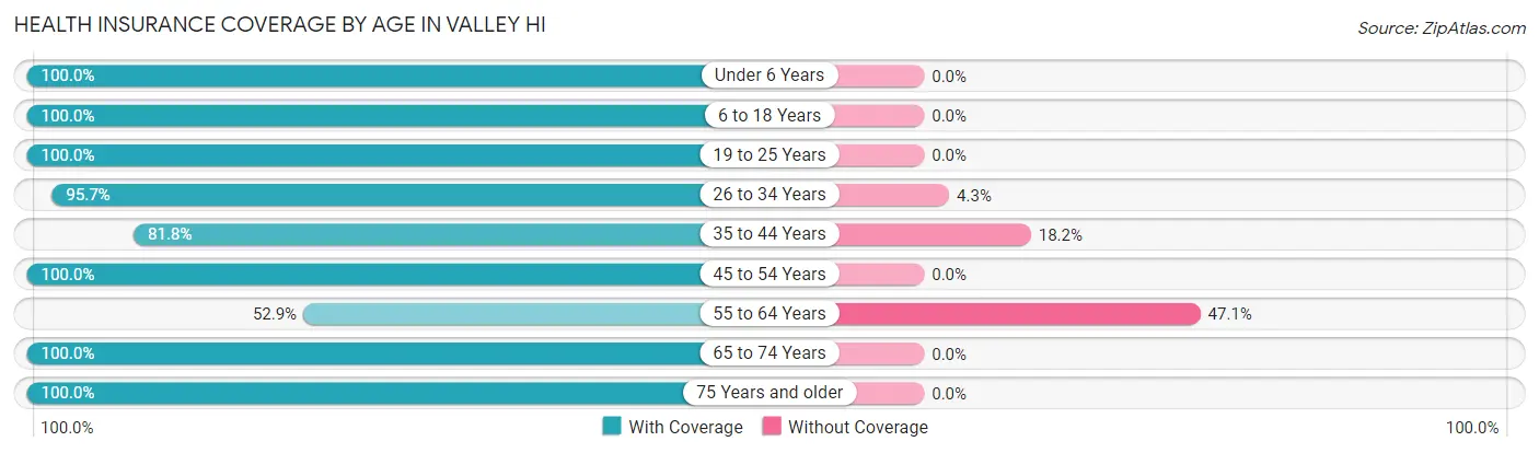 Health Insurance Coverage by Age in Valley Hi