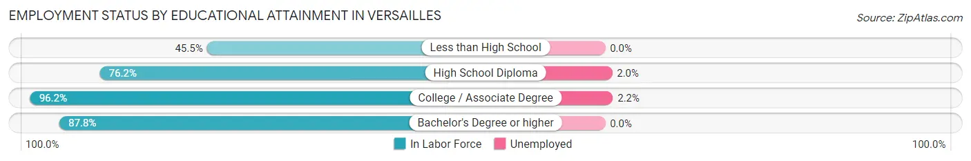 Employment Status by Educational Attainment in Versailles