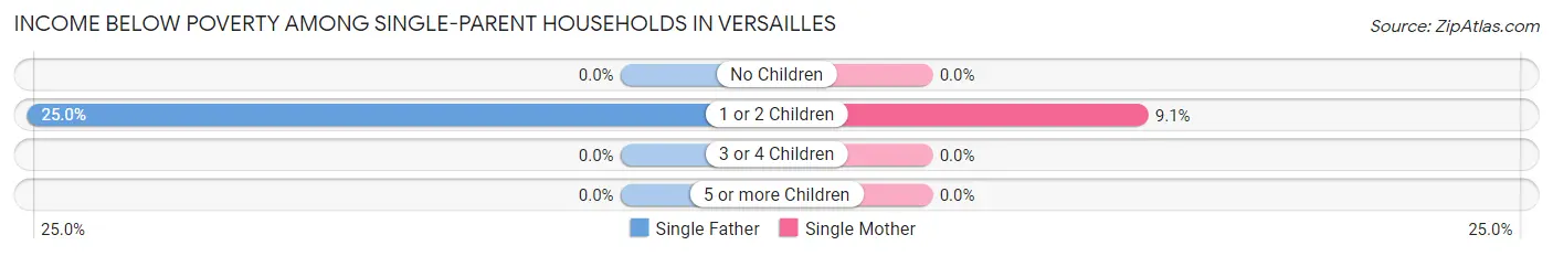 Income Below Poverty Among Single-Parent Households in Versailles