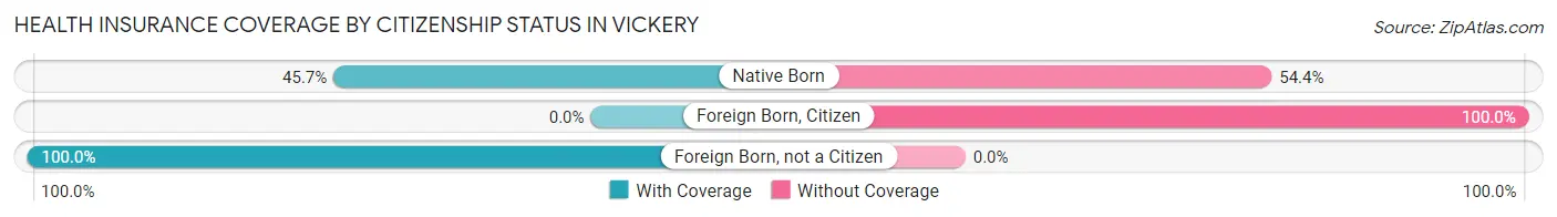 Health Insurance Coverage by Citizenship Status in Vickery