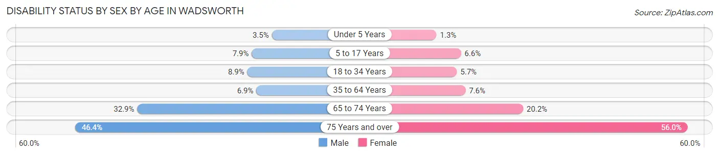 Disability Status by Sex by Age in Wadsworth