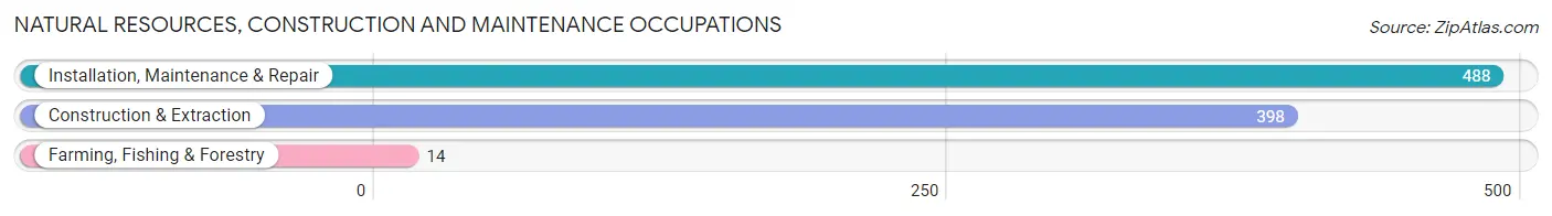 Natural Resources, Construction and Maintenance Occupations in Wadsworth