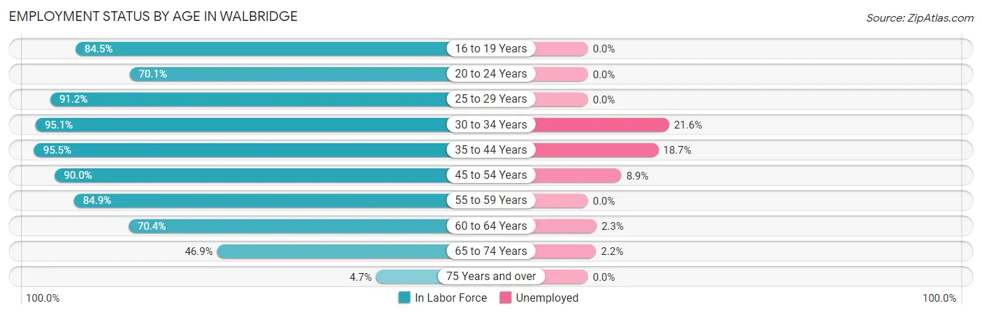 Employment Status by Age in Walbridge