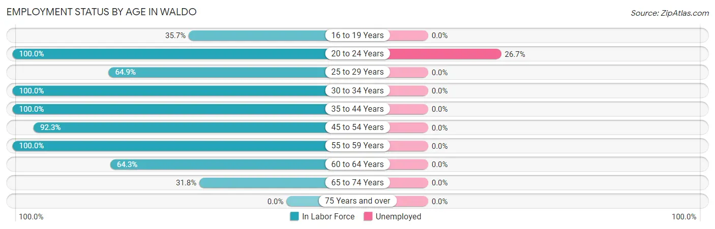 Employment Status by Age in Waldo