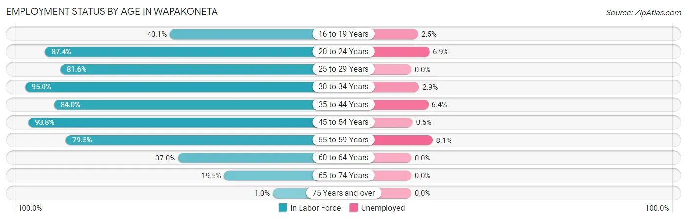 Employment Status by Age in Wapakoneta
