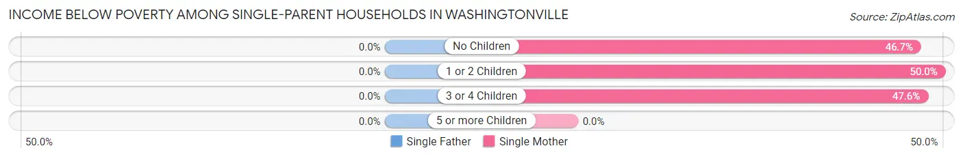 Income Below Poverty Among Single-Parent Households in Washingtonville